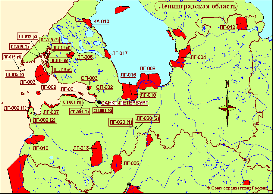 Карта лесов ленобласти