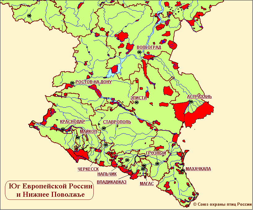 Карта лесов поволжья