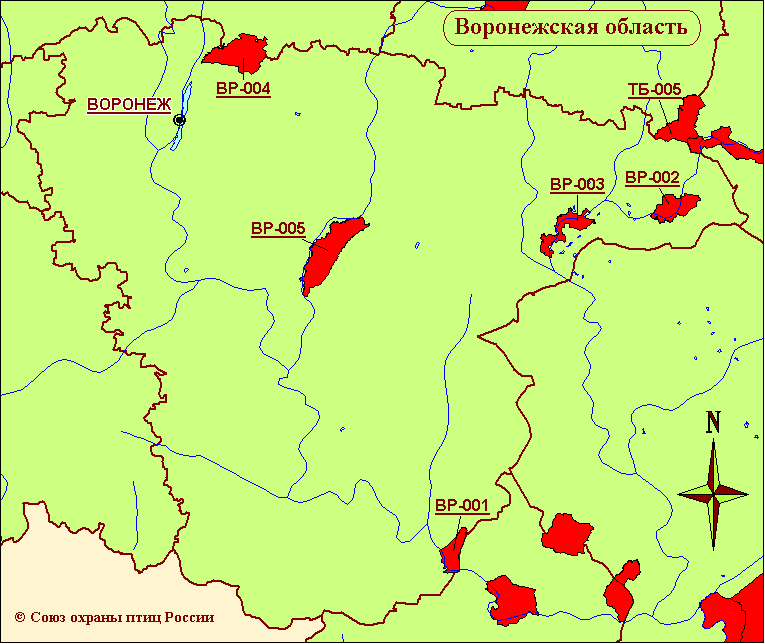 Пруд александровский воронежская область карта