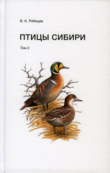 Птицы Сибири по красоте не уступающие тропическим. | VK