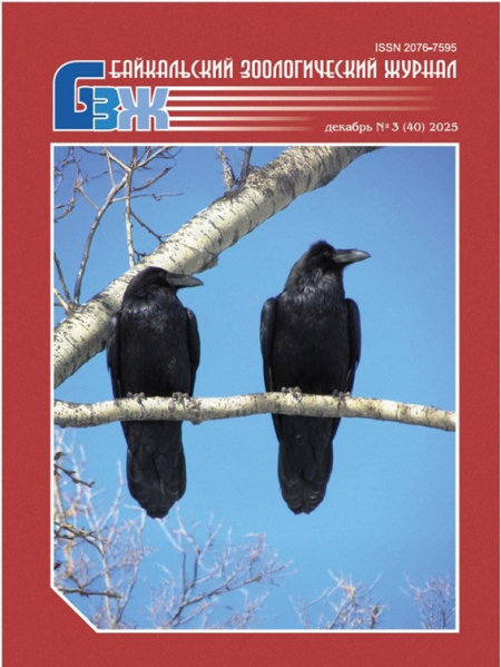 ����������� ������������� ������ �40