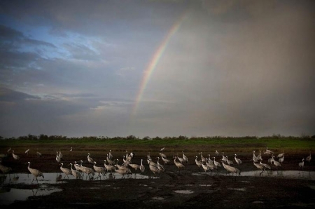 ����������� ������� ������ 500 ���� �������� ��������