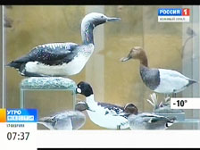  �������� ������� ��� ���������� ��������� "����� ������ �����"