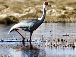 ������ ������������ �������� � �������� ������ ������ �������� �����