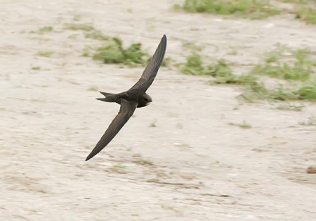 ������ ����� � ����� 2012 ���� � ��������