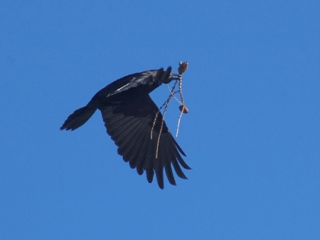 �����-2011: ��� �� �����.