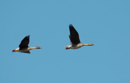 ����� � 2011: ���� �� ����. 14 ������