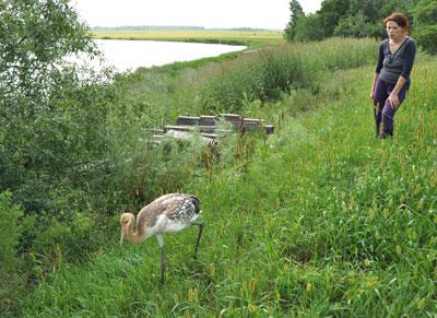 �� ������� ����� ��������