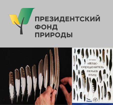 �������� ����������� �� ����������� ������� ������������ "��� ����" - ���������������� ��������������  ����� �������