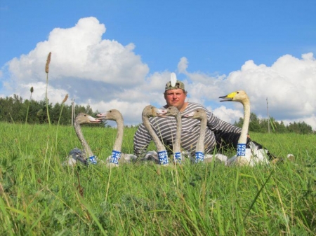 ��������� ������ �� �������� ������-������� � ������!