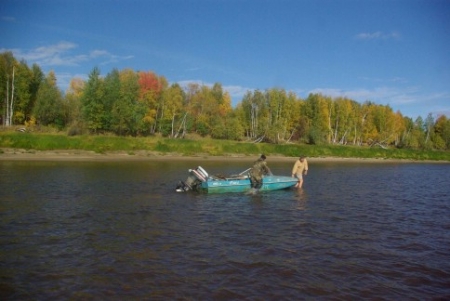 ����������� ��������� �����-����������� ��������� ����� ������ ���� ������