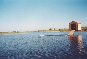 "������ ������" ������ ������ ����