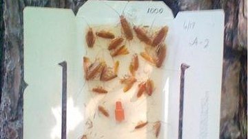 �������� ��������� ������� ������ ������ ������