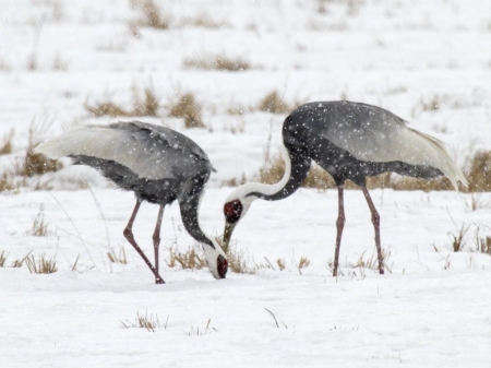 ��������� ����� � ����!