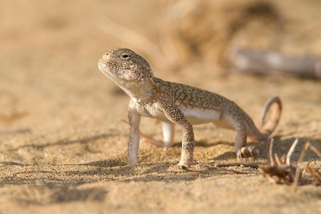 ������� �� ����������� "������������"