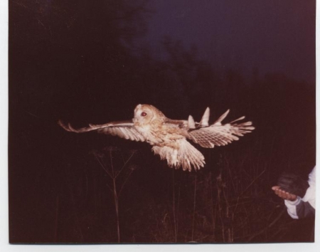 � ��������� ���� �������� ����� ��� ����� ��������