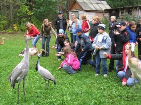 ����� �������� ��������� ����  2012 ���� ����������� � ����������