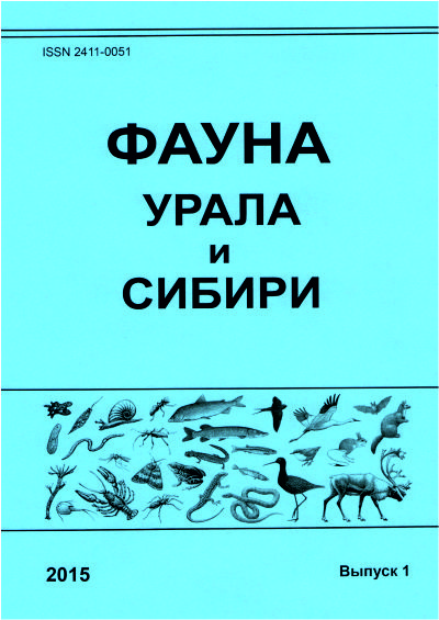 ������ "����� ����� � ������"  ���������� �������