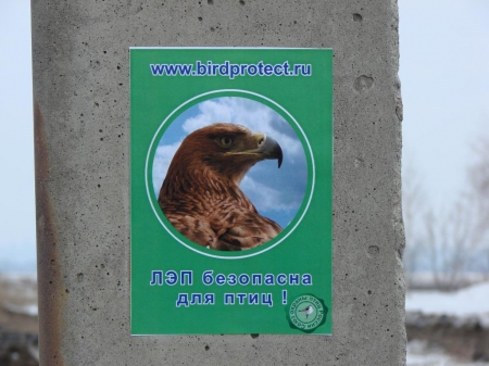 ��������� ��� ��������� ���������������� ������������ 