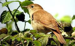 ���������� �������� ����������� � ������  ����� �� �����.