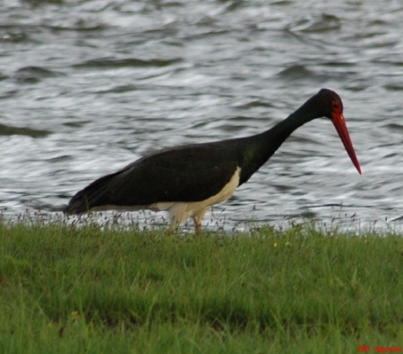 �� ����� ��������� ������� �����  ������ ����