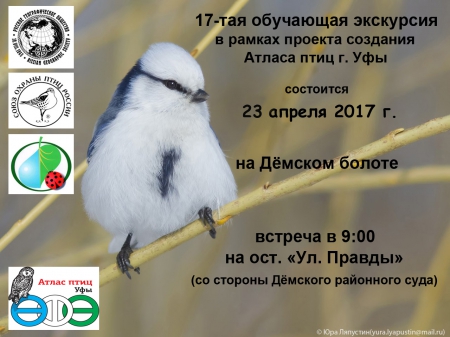 ���������������� ��������� ������ �� ĸ����� ������ � ���