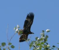 ������������� ���