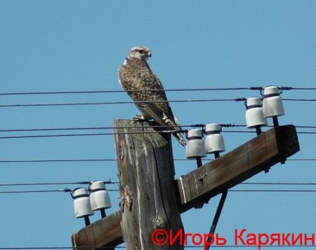 �������������� � ��ѻ � ������� �� ������