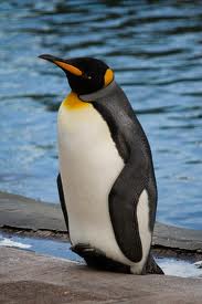 ������������� �������  �������� �� ����� ��������