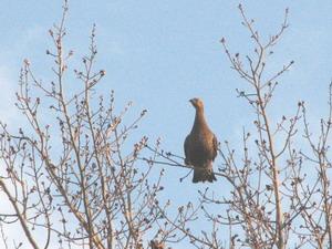 ����� �������� ���� � 2011 ����