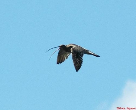 ����� � 2011: ���� �� ����. 10 ������