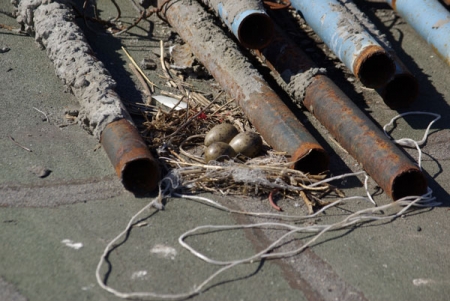 ����� �� �����: ��������� ������� ���� �� ����� � �. ��������