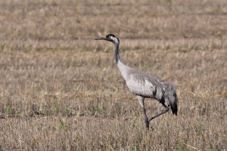 �����: ���� �� ���� (2 ������ ��� 2020, ������)