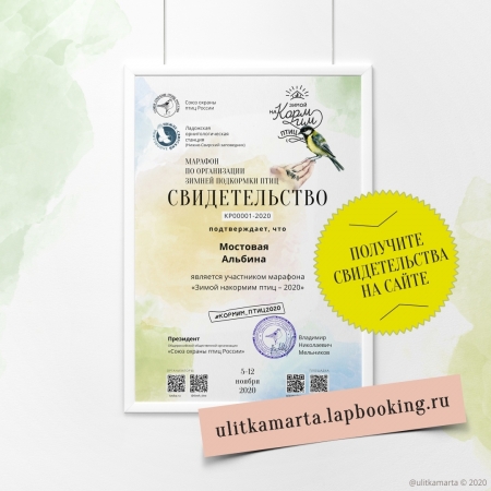 ����� �������� "�������� ���� �����"