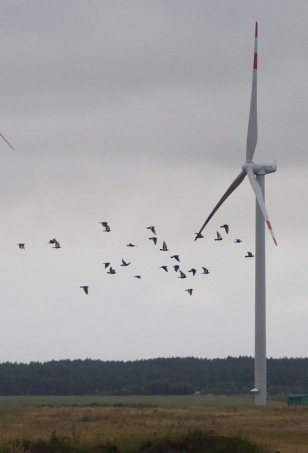 ���� ����������: ���� ������ � ��� ����养