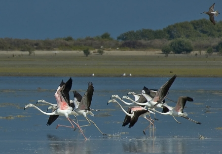 80 �������� �������  � ��������� �����������