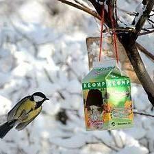 ����� ����� �������� �����