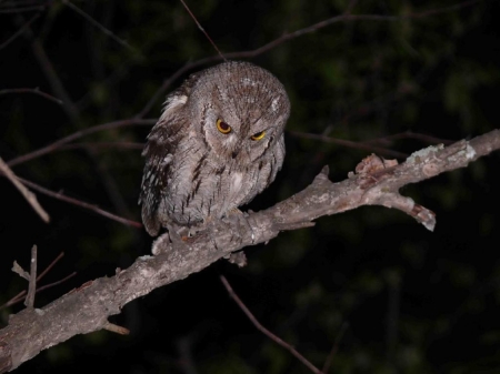 �����-2012, ���� �� ����. 16 ������