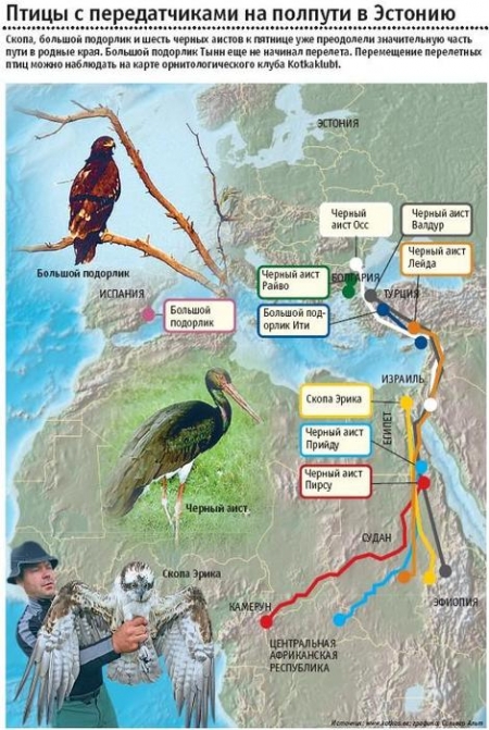 ����� ������������ � �������