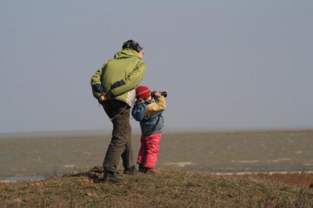 �������� �������� ������� ������ ����.