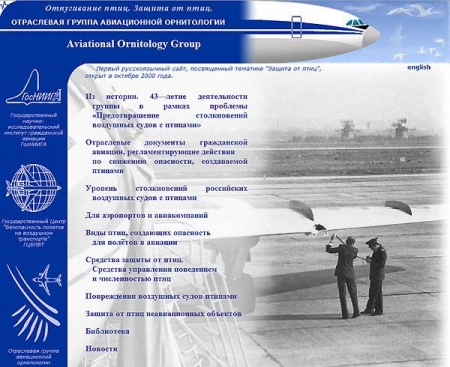 ������� ���� ������ ��