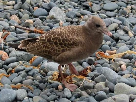 ���� �������� � ���������� ���� ������� ������ �����