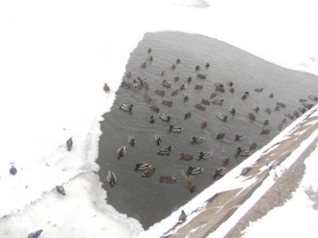 ���������� 28-�� ����� ��������  �������������  ���� � ������