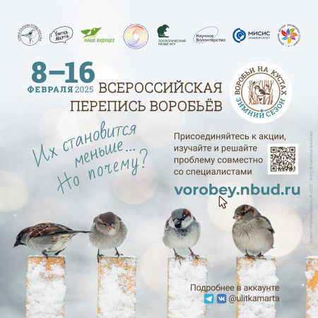 ����������� �����-����� ����� ������������� �������� �������� "������� �� ������"