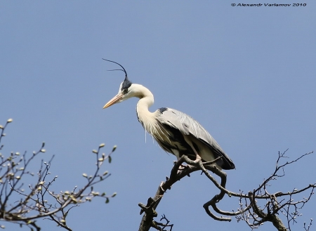 ����� � 2012: ���� �� ����. 27  �����