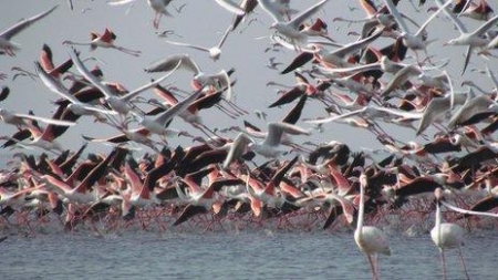 ������  �������� � �����