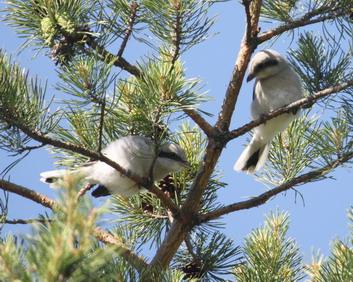 ����� ���������: ����� ����������� � 2011 �