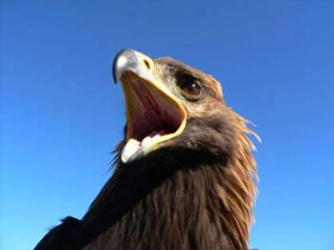 ���������� ���� �� ���������� �������� ��������� �� ����