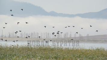 ����� �� ���� ����� ����������