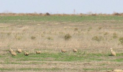 ������� ������ � �������� ����� ����  � ������������ ����������� ������